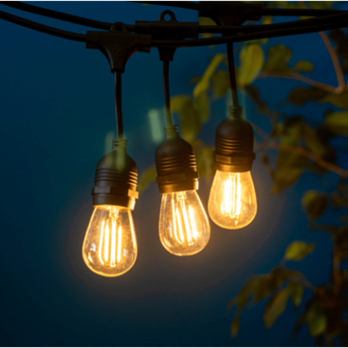 Litehouse Solar LED Festoon Traditional Bulb String Lights