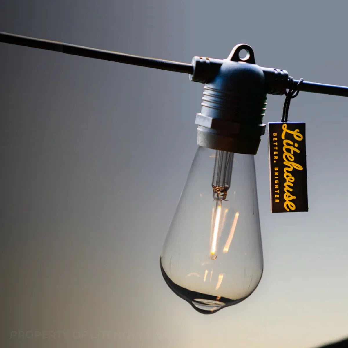 Litehouse Solar LED Festoon Outdoor Vintage Bulb String Lights
