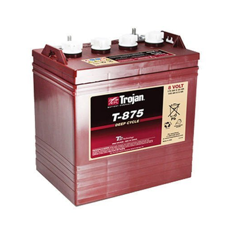 Trojan T-875 142Ah 8V Deep Cycle AGM Battery - Sustainable.co.za