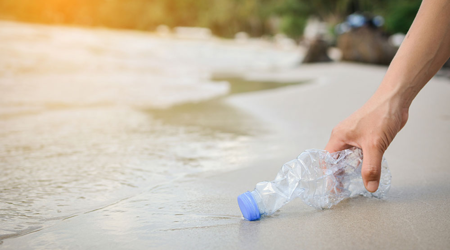 Starting Your Journey to a Plastic-Free Lifestyle: Simple Steps to Make a Big Impact