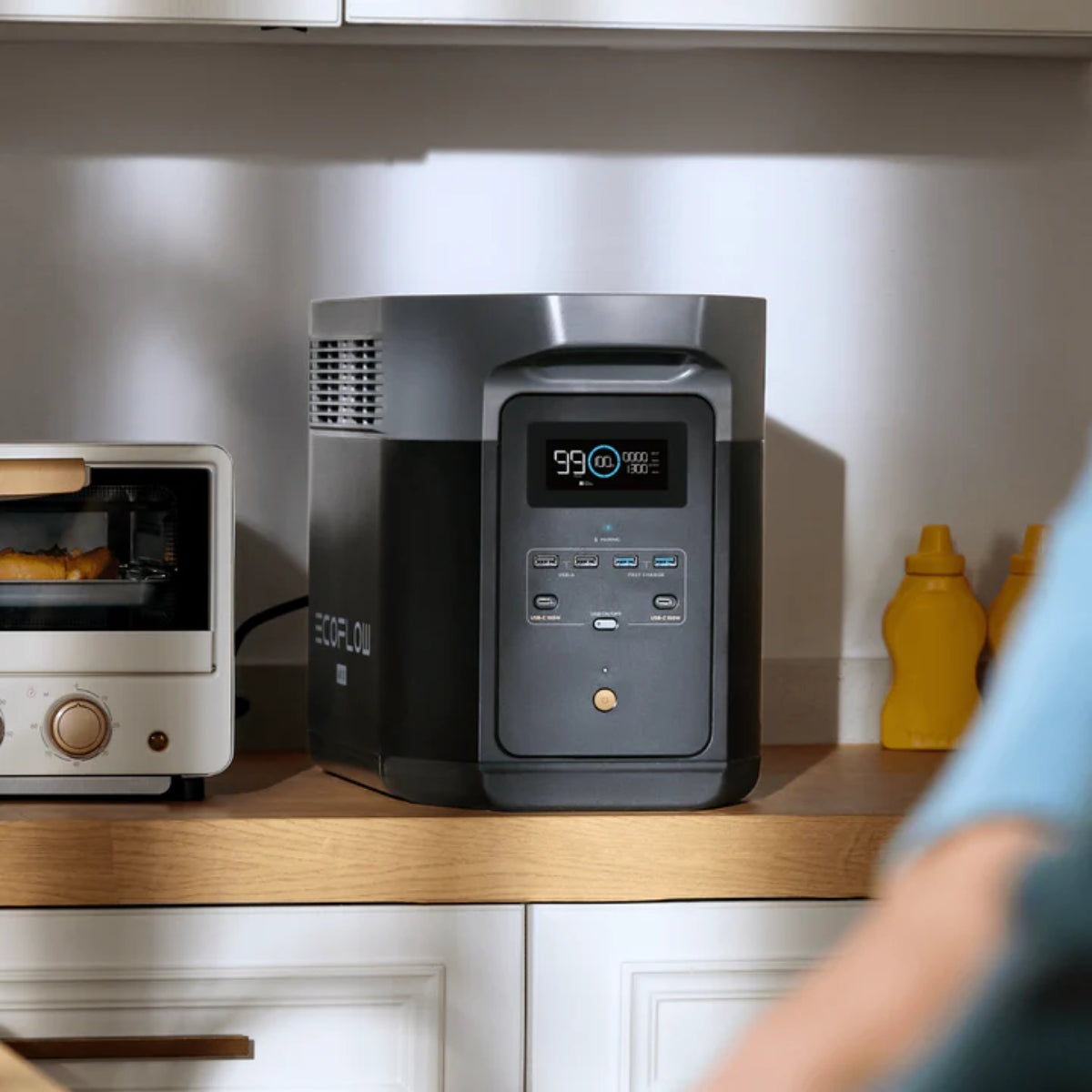 EcoFlow DELTA 2 Max Portable Power Station - Sustainable.co.za