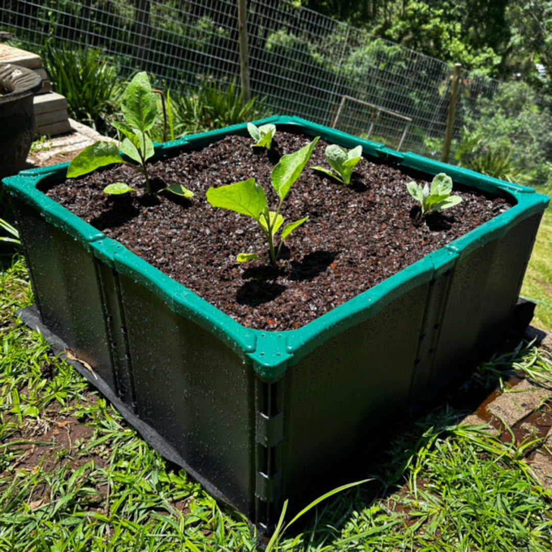 EcoGrow Food Planter