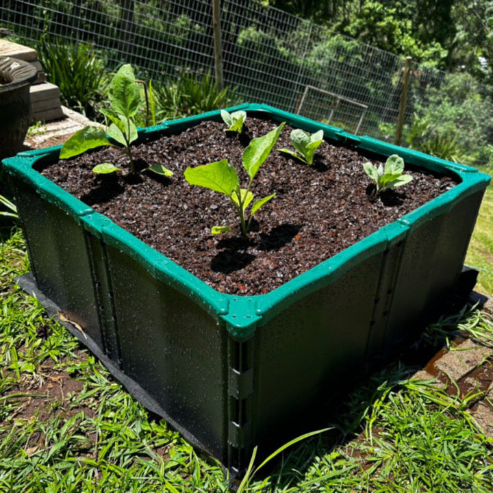 EcoGrow Food Planter