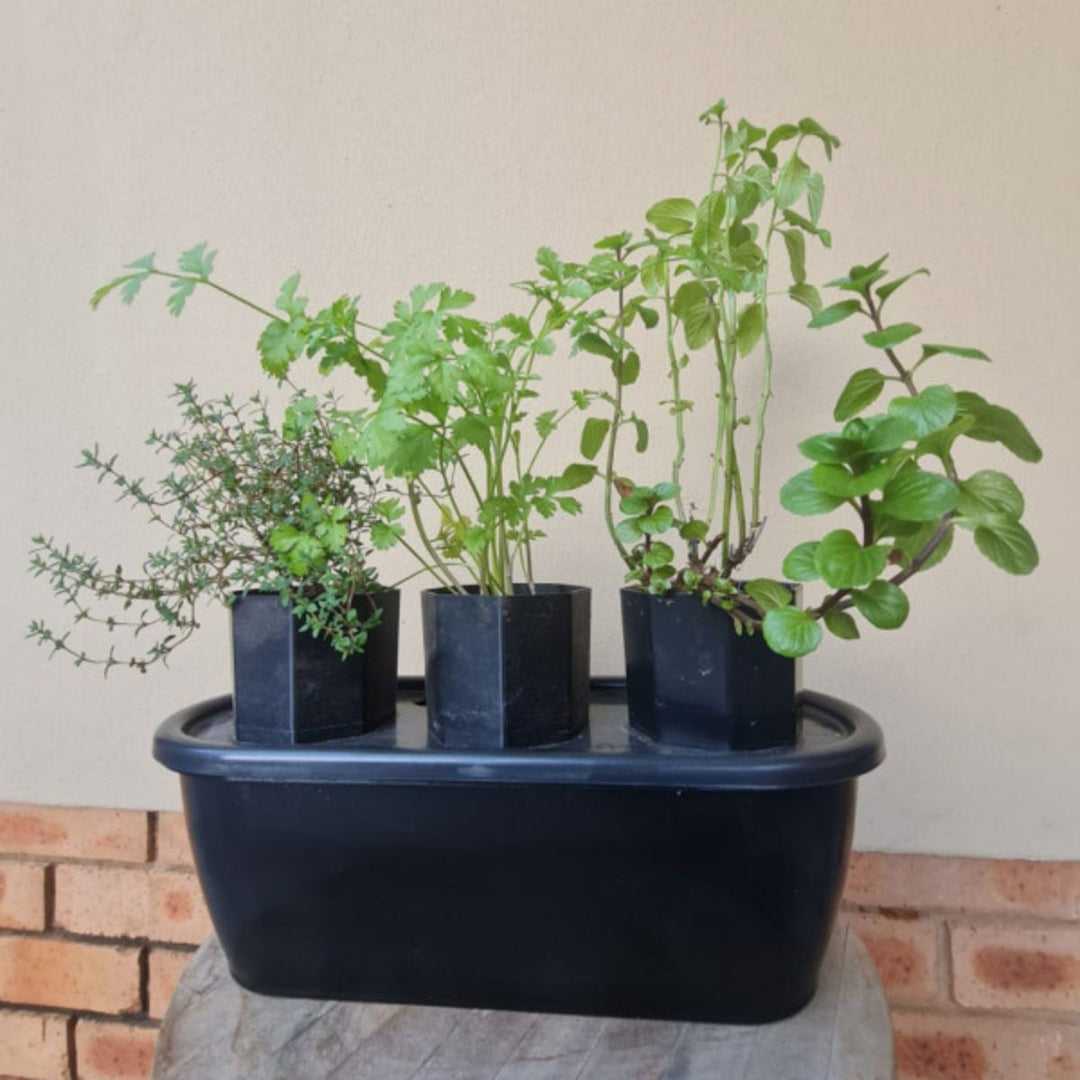 HydroGrow Micro Root Zone Growing System