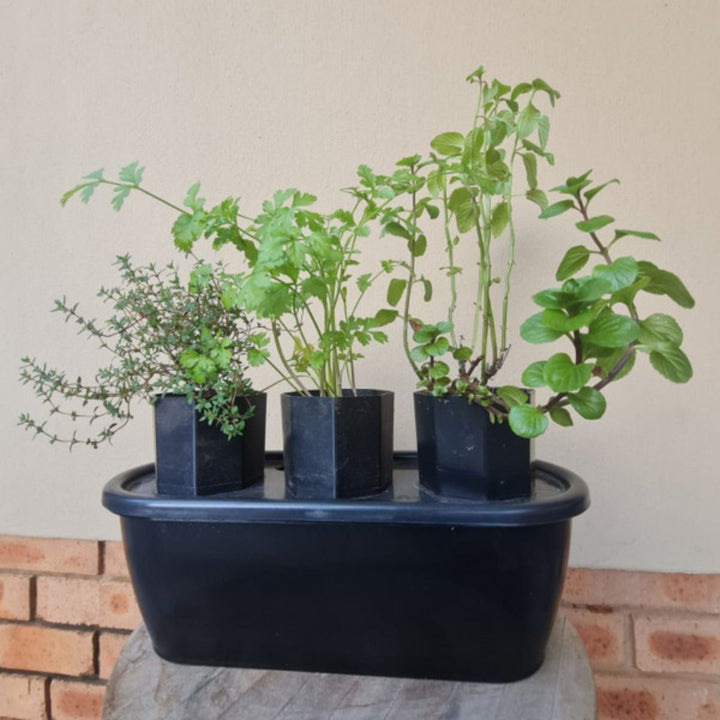 HydroGrow Micro Root Zone Growing System