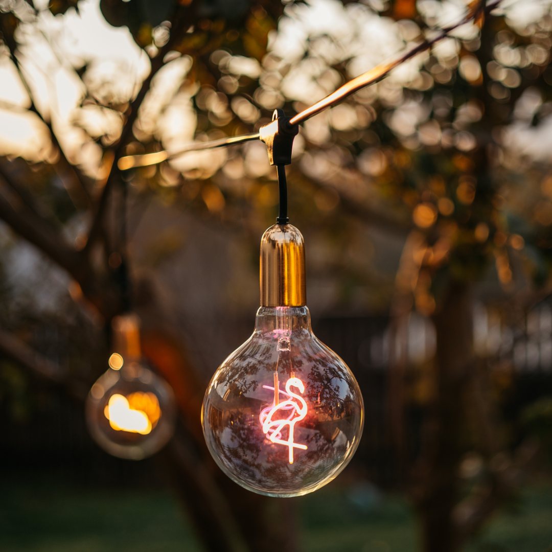 Stellar Lighting Retro Edison Light Bulb G125 FLAMINGO Pink LED E27 3W