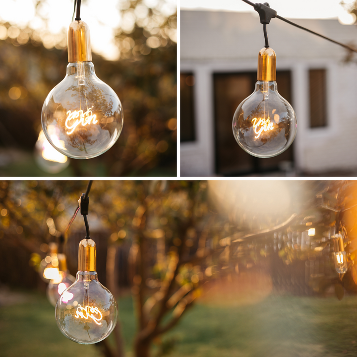 Stellar Lighting Retro Edison Light Bulb G125 GIN Warm White LED E27 3W