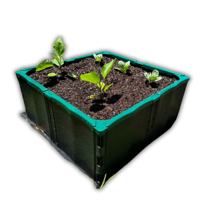 EcoGrow Food Planter