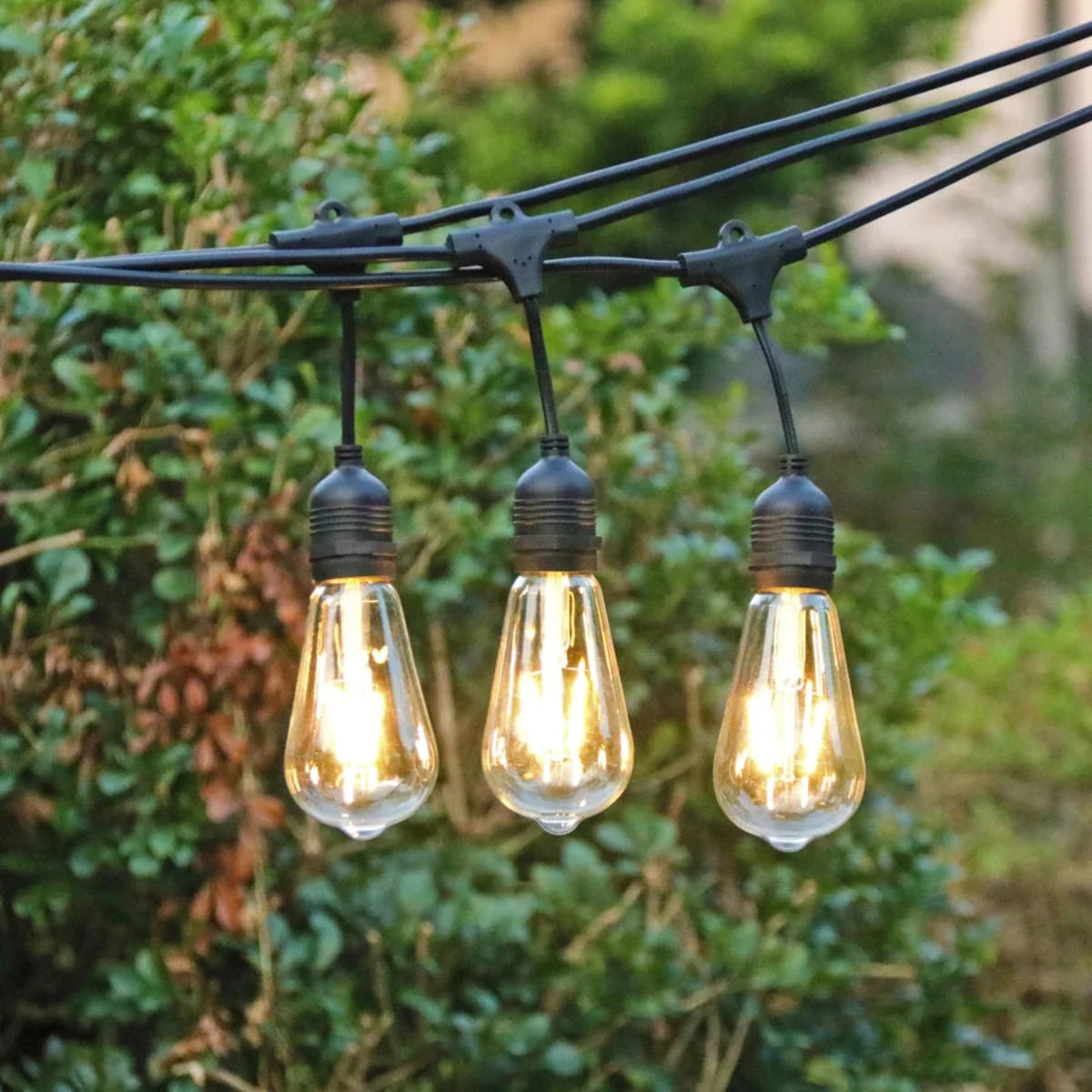 Litehouse LED Festoon Vintage Outdoor Bulb String Lights