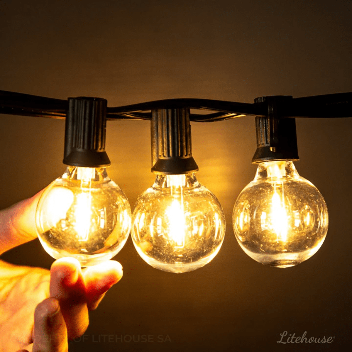 Litehouse LED Low Voltage Classic Mini Bulb String Lights