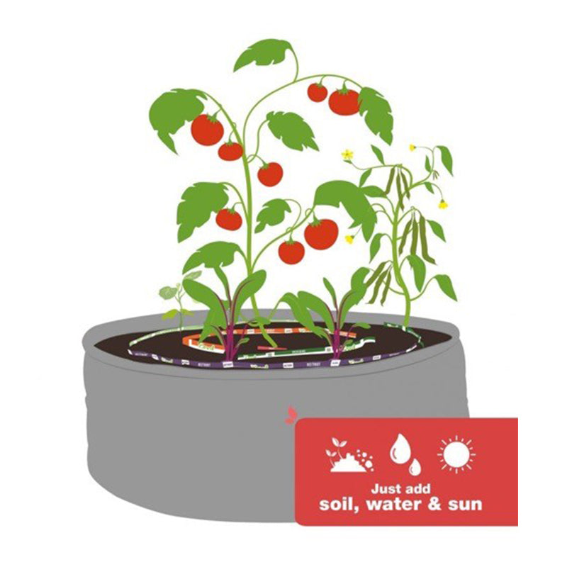Learn & Grow Kit - Learn & Grow Kit - Grade 1-7 - Sustainable.co.zaKinder Gr 0, 00, R - Sustainable.co.za