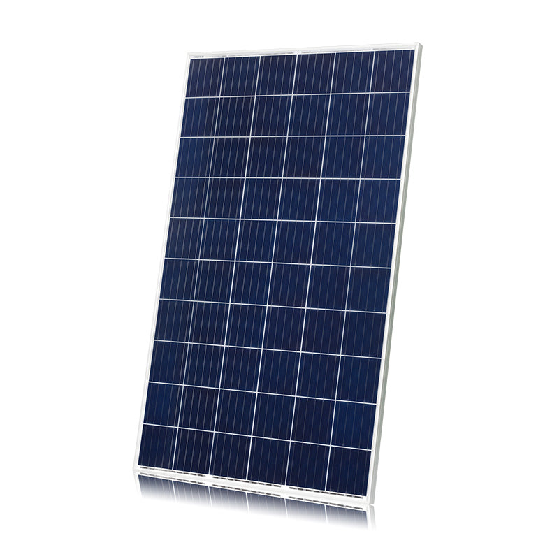 CNBM 6P-160 160W Poly Solar Panel - Sustainable.co.za